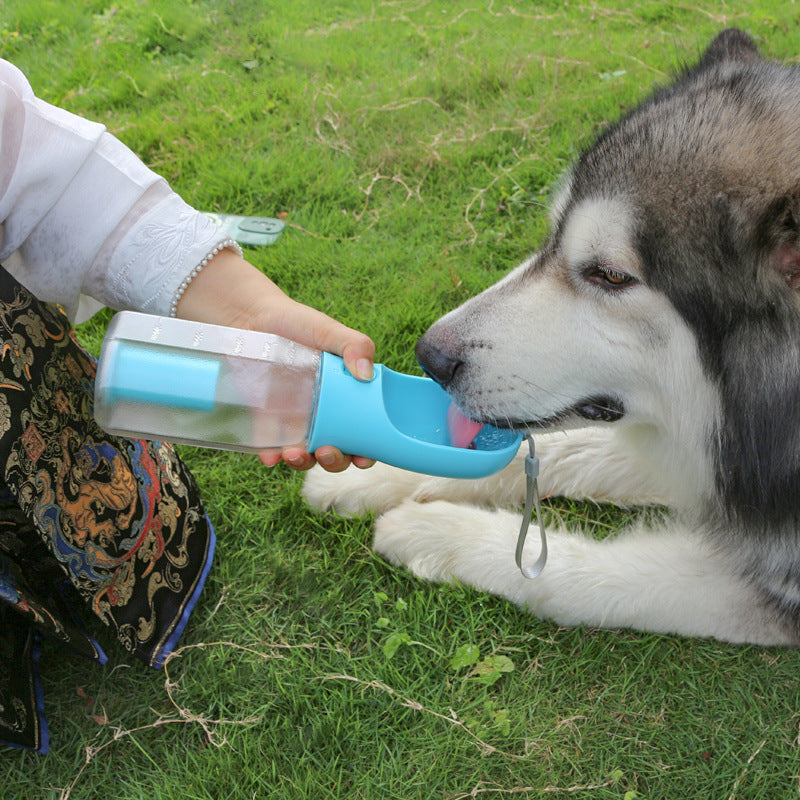 Pet Hydrate 3-in-1 Portable Bottle