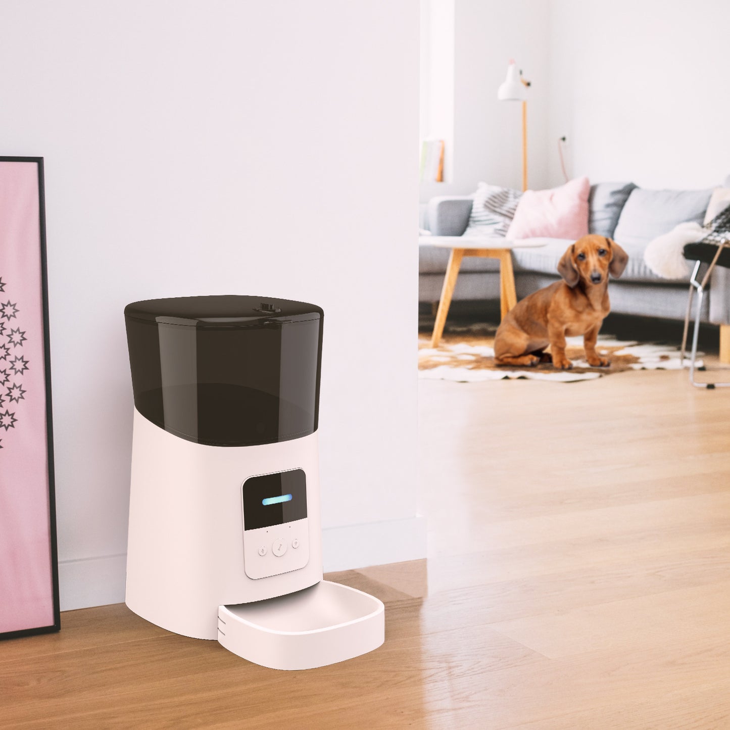 Auto Pet Feeder